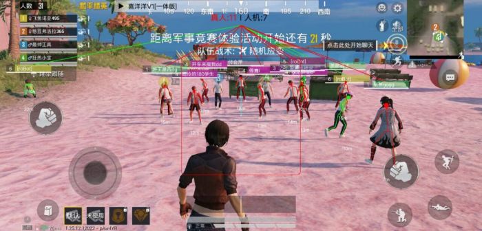 和平精英辅助代码怎么弄（和平精英辅助是怎么弄的）